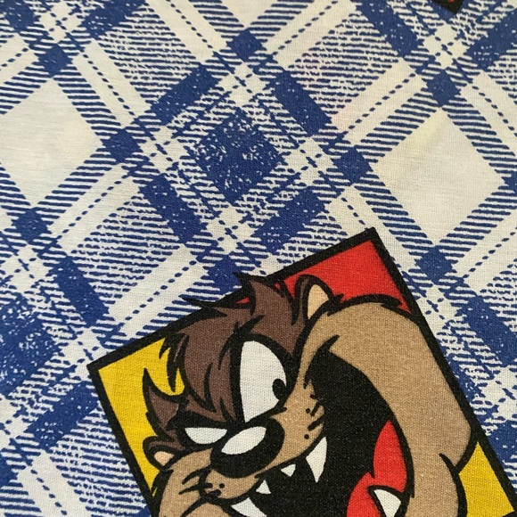Vintage 1995 Looney Tunes Warner Bros. Character Plaid Blue WhiteTwin Flat Sheet - Picture 8 of 10